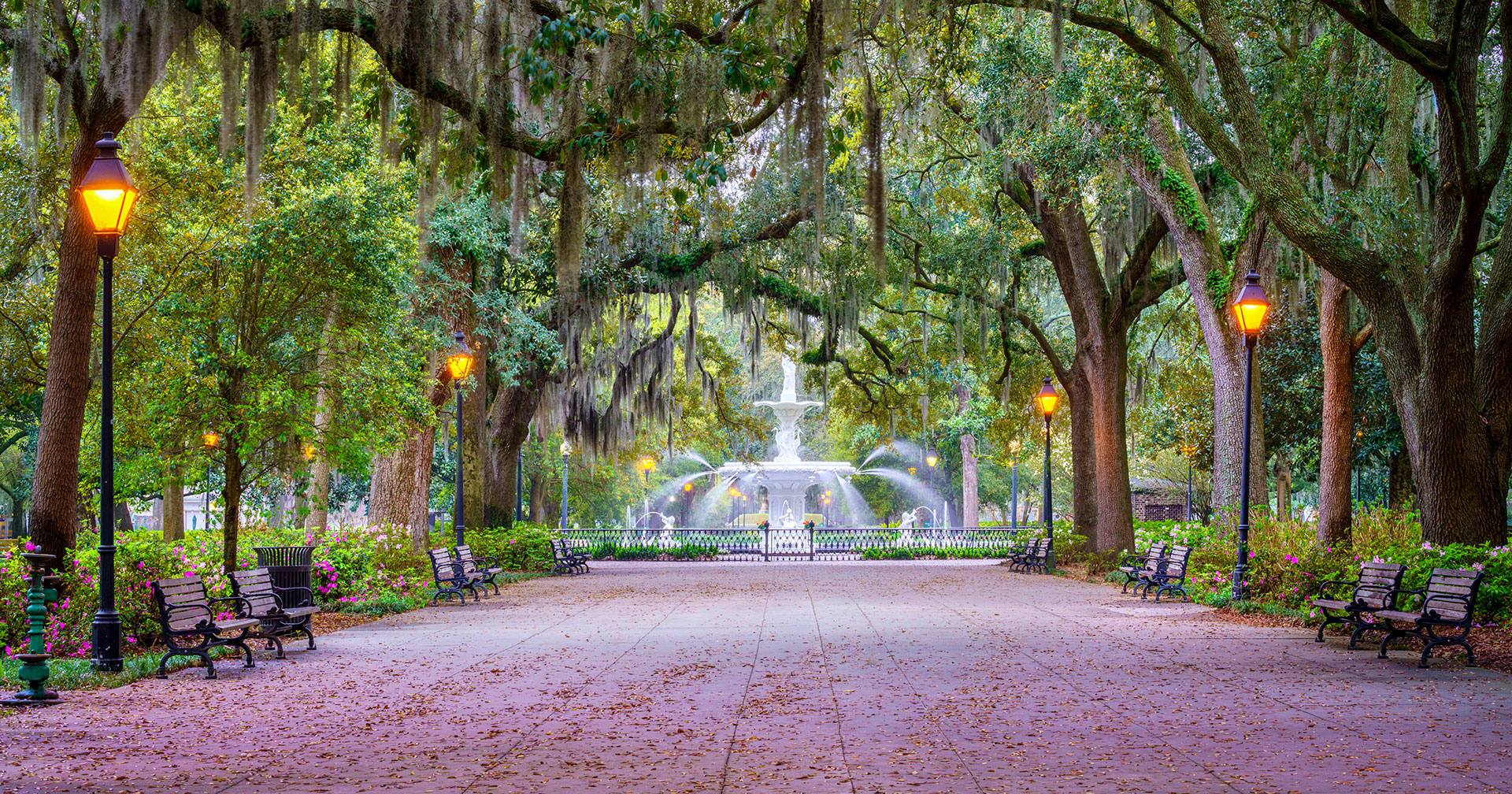 Savannah Dental Group Cosmetic Dentistry Savannah Request Appointment