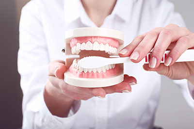 The image shows a person holding a toothbrush with a model set of teeth attached to it, demonstrating dental care practices.