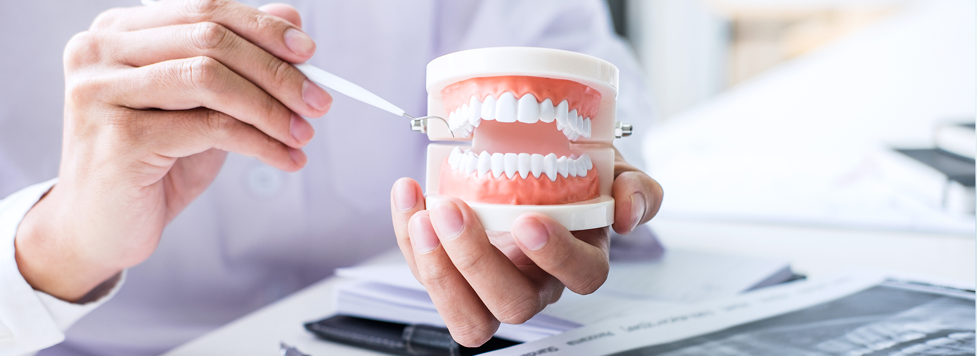 A person s hand holding a cup with a tooth model inside, placed on a desk with papers and a pen.