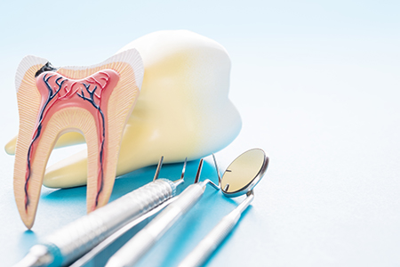 Savannah Dental Group